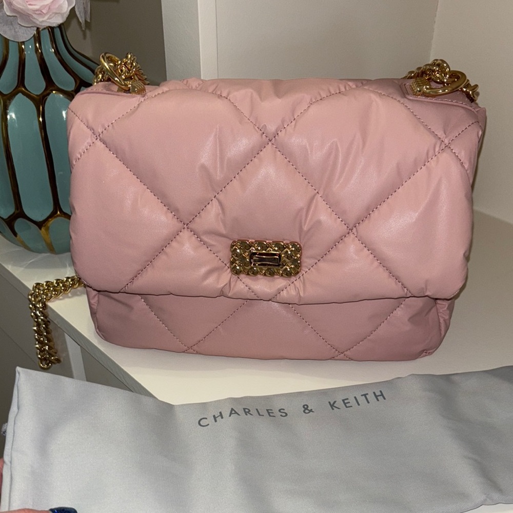Charles & Keith Pink Quilted Chain Bag - Picture 13 of 14